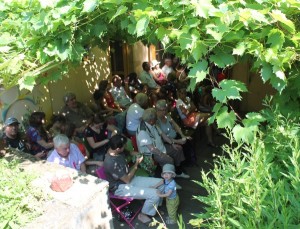 festigui 1