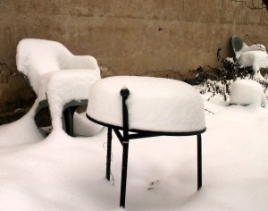 jardin enneigé
