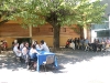 Terrines 2010-2011 (3)